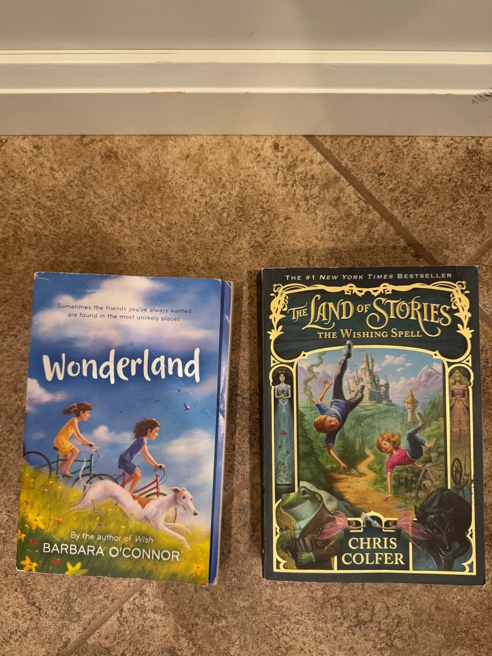Wonderland Children's Book & The Land of Stories